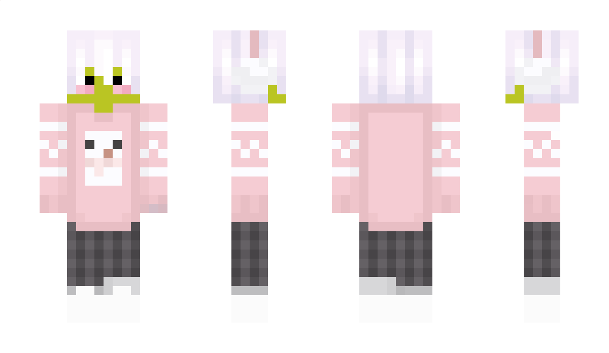 Discomann306 Minecraft Skin