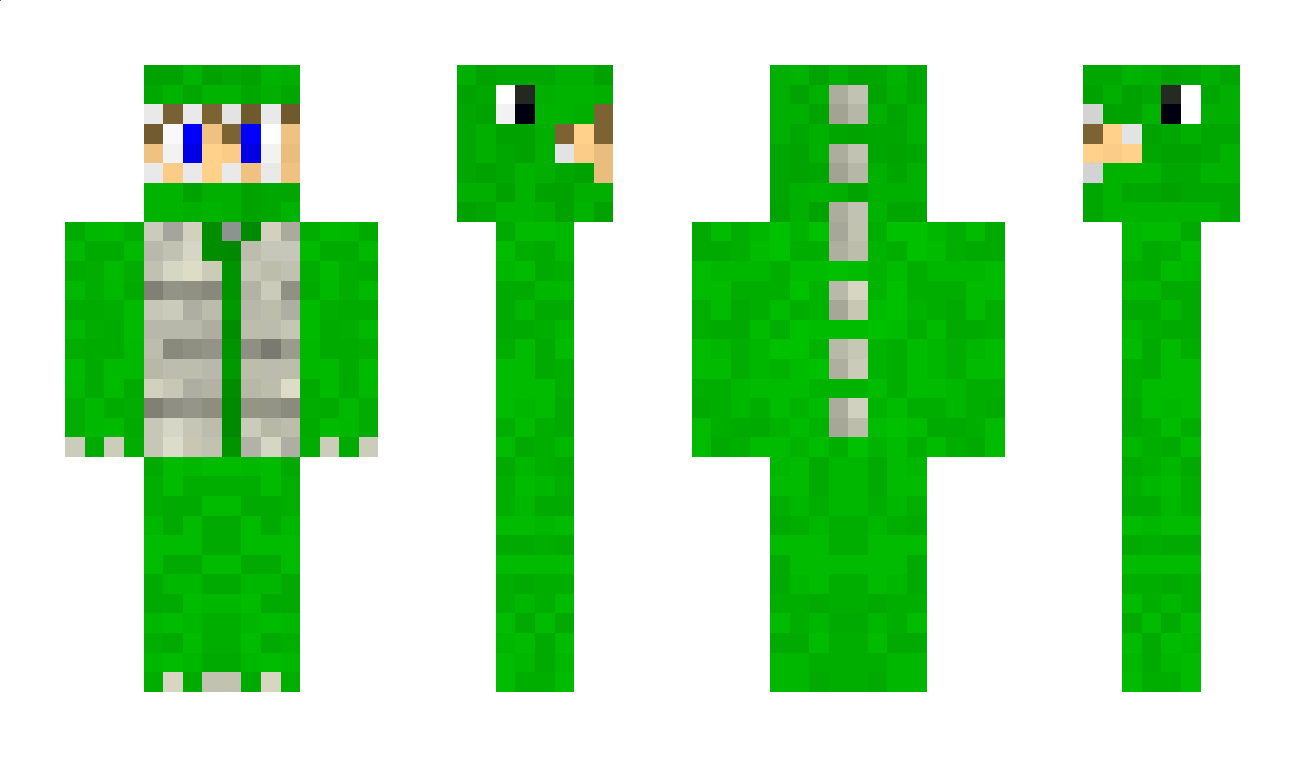 DragonWarlords Minecraft Skin