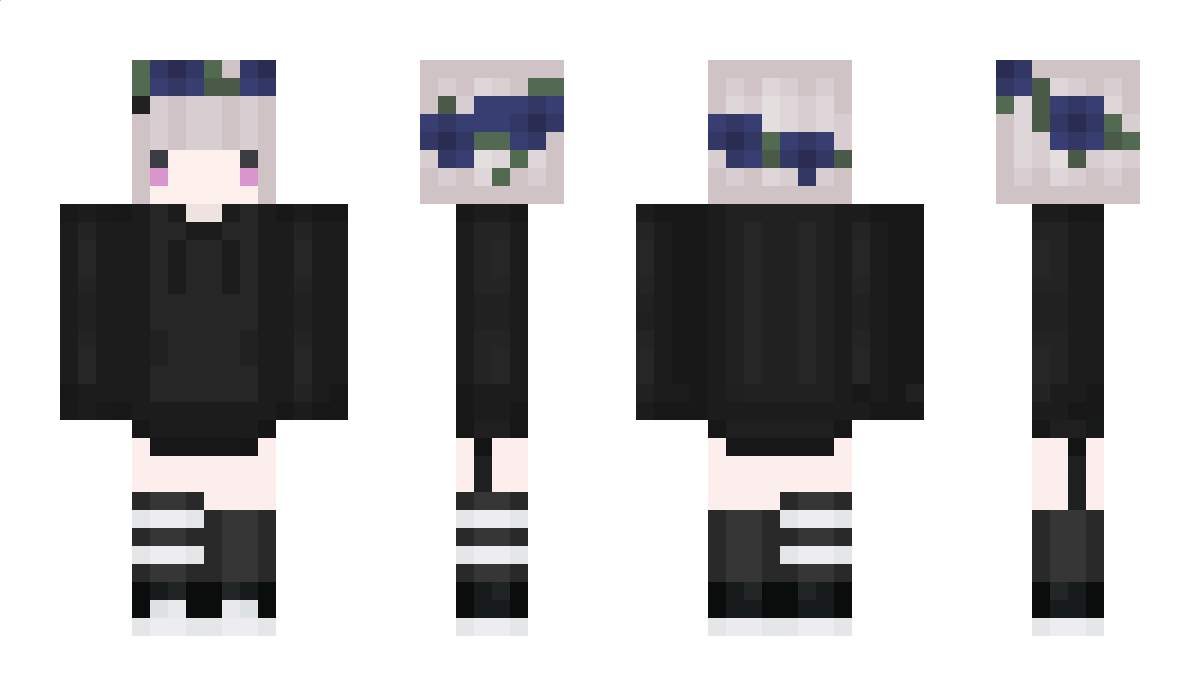 RI4 Minecraft Skin