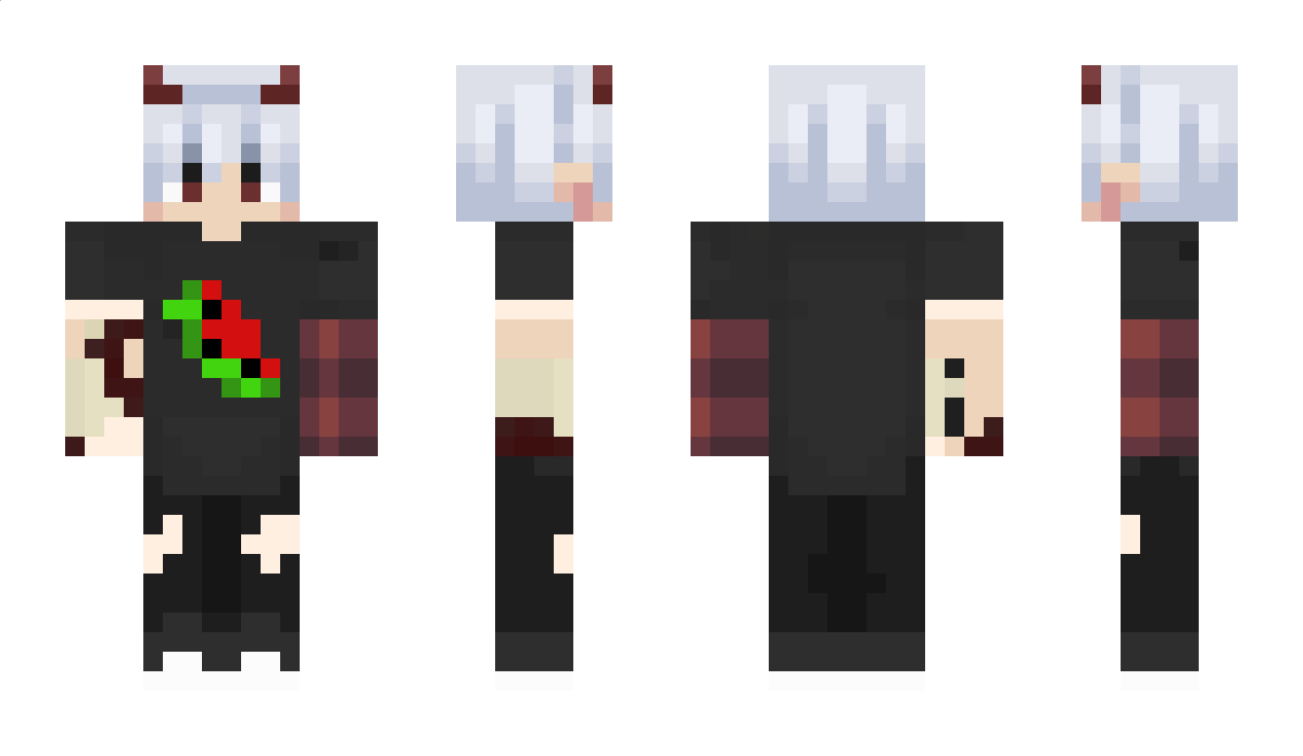 Sanopalz Minecraft Skin