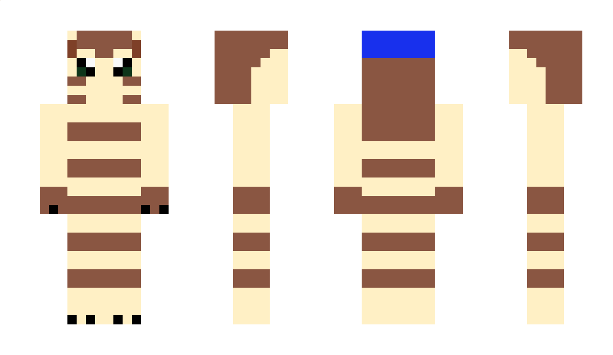 Funky_Furret Minecraft Skin