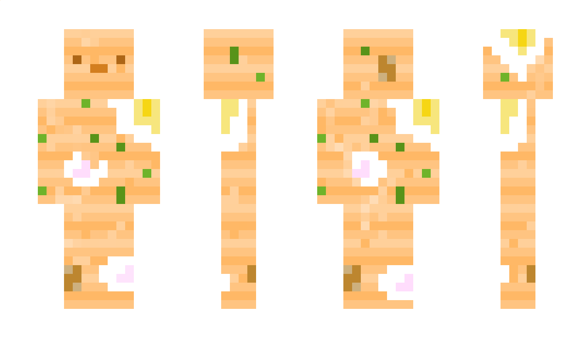 FireNinja19 Minecraft Skin