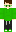 im_stupidngl Minecraft Skin