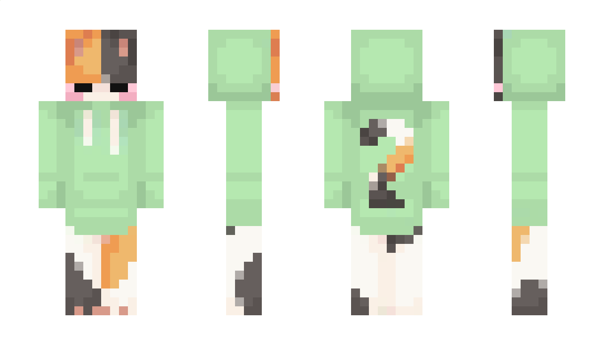 CreeperFive2000 Minecraft Skin