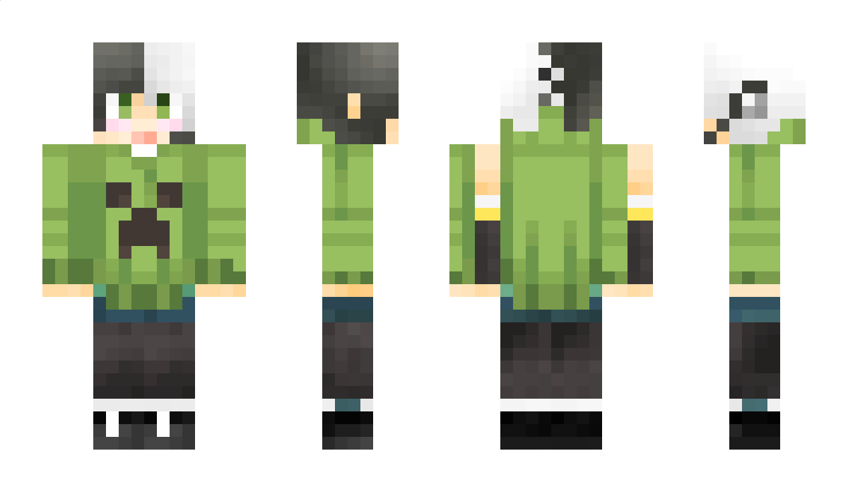 LongZhen12 Minecraft Skin