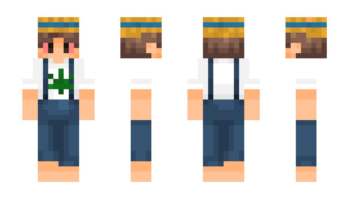 _denzl Minecraft Skin