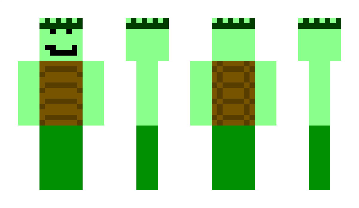 TurtleBoyoIsCool Minecraft Skin