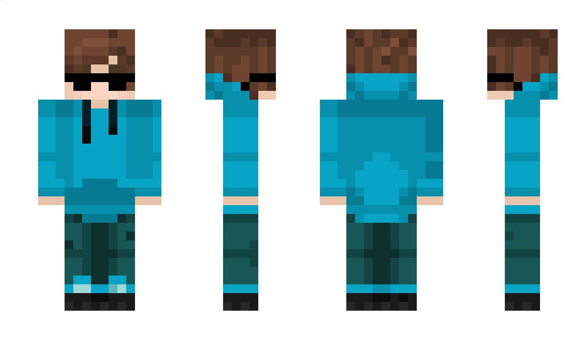Bluetigeer Minecraft Skin
