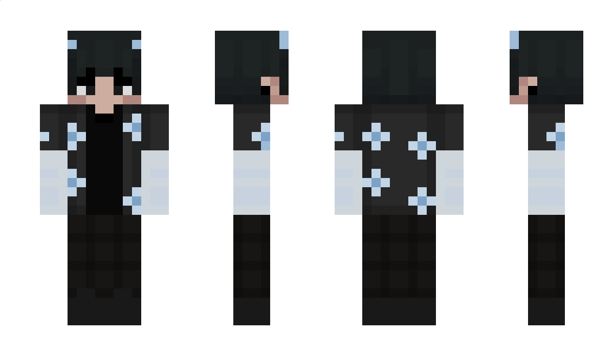 inVis__ Minecraft Skin