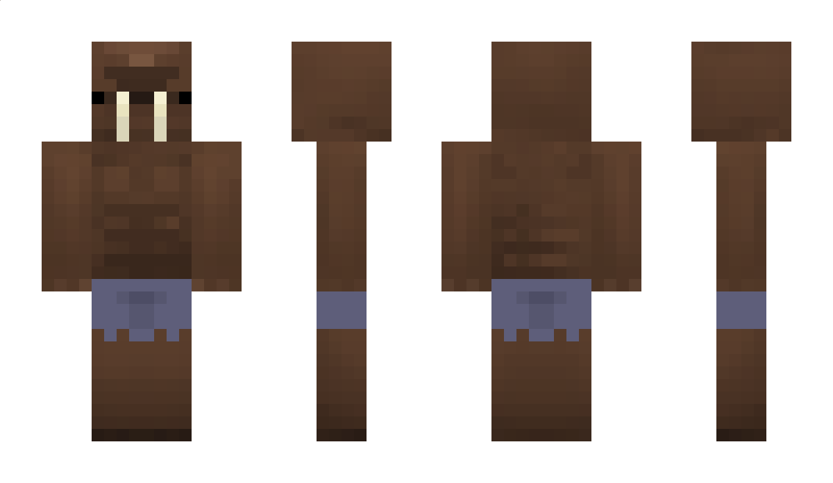 hayydn333 Minecraft Skin