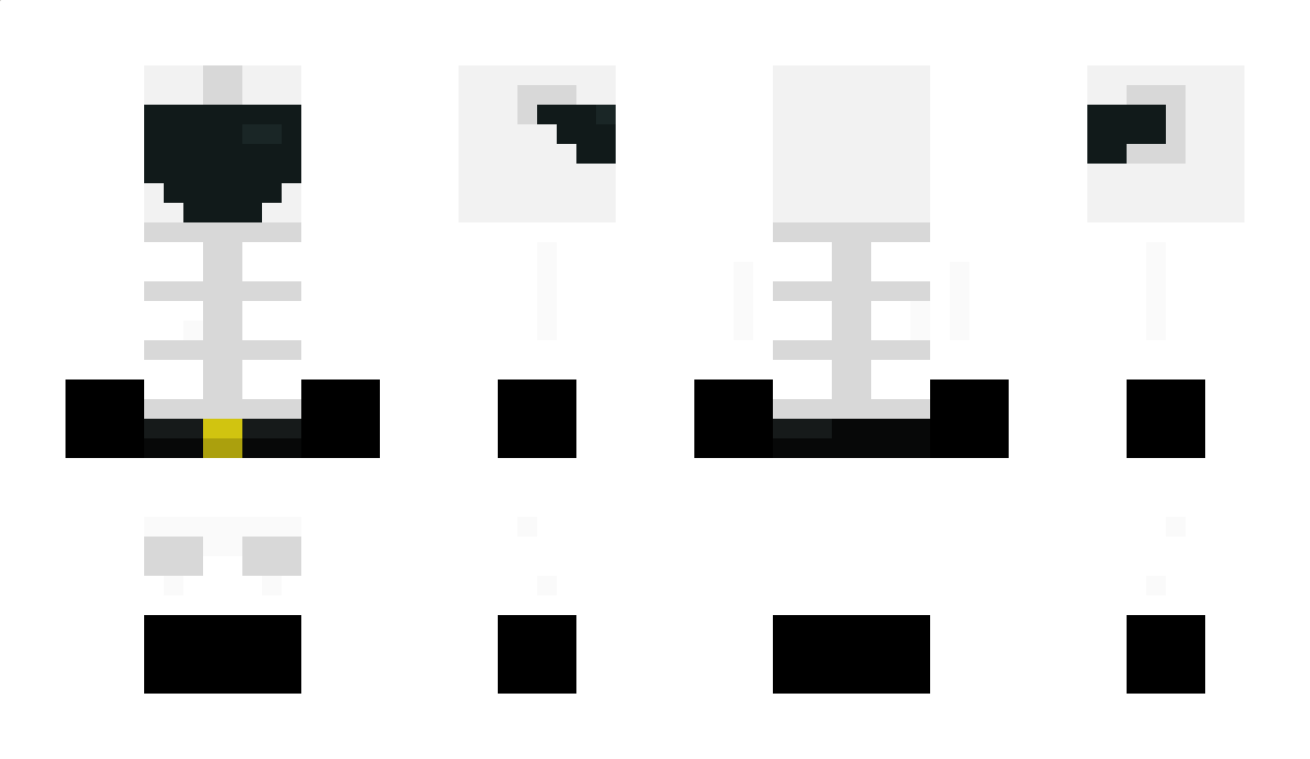 hsid Minecraft Skin