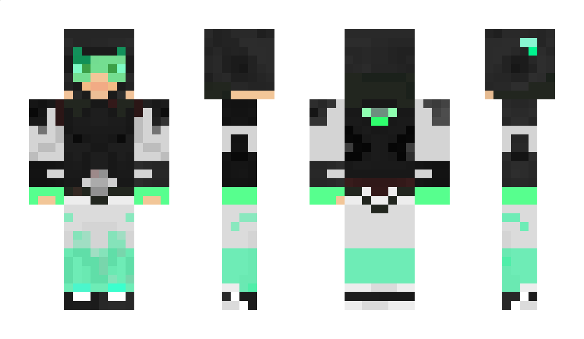 pupseal115 Minecraft Skin