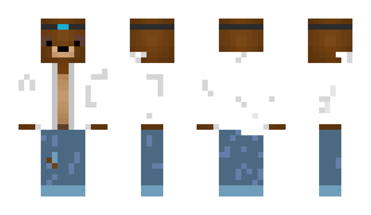 legosteve33333 Minecraft Skin