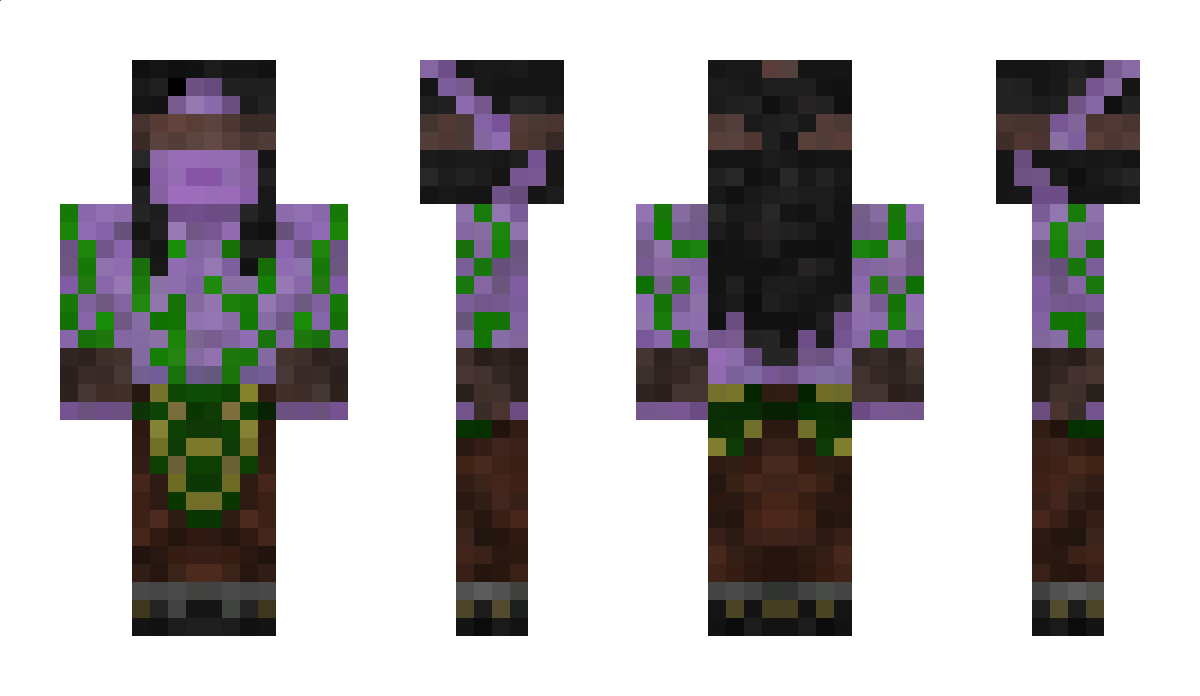 Dragonage Minecraft Skin