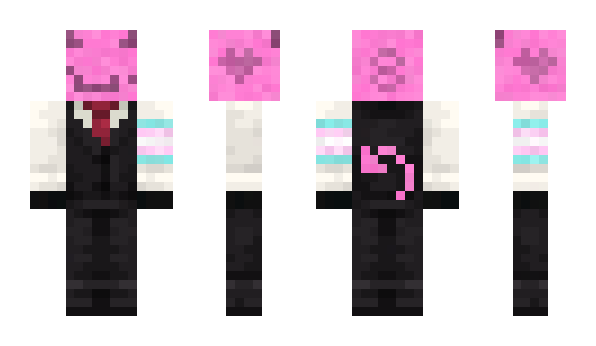 pauulk Minecraft Skin