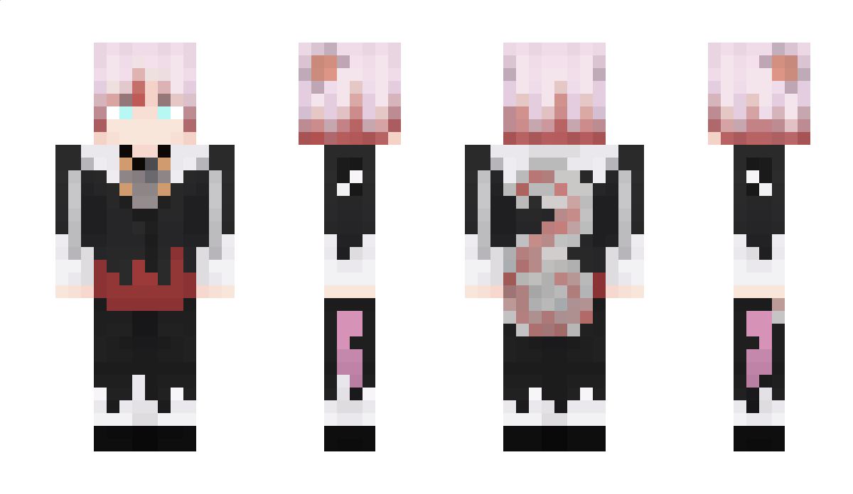 Enloita Minecraft Skin