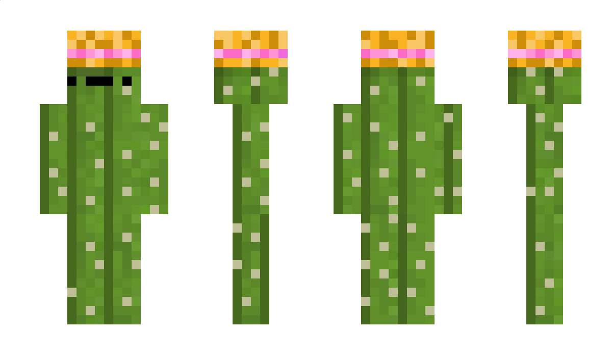 Creeper_Andi Minecraft Skin