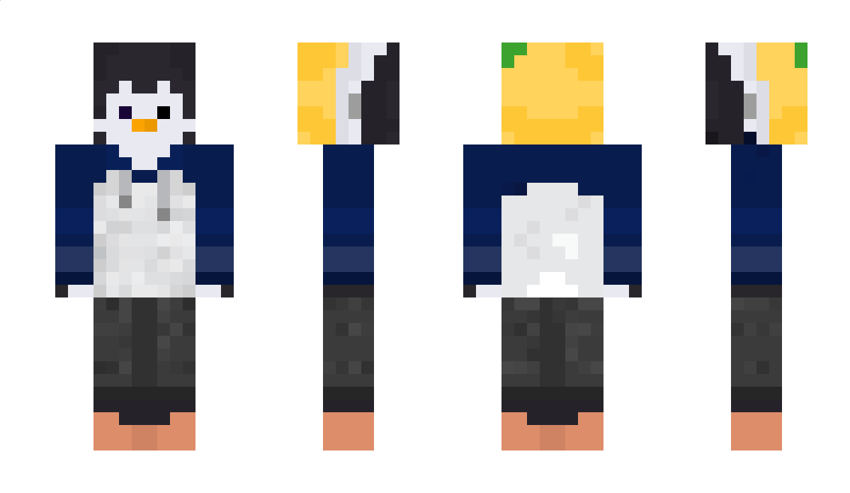 mpgd Minecraft Skin