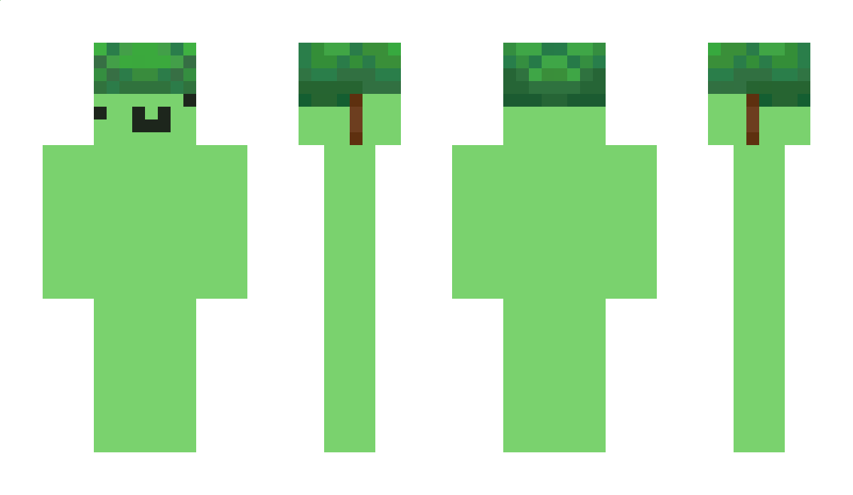 ScrawnyTurtle Minecraft Skin