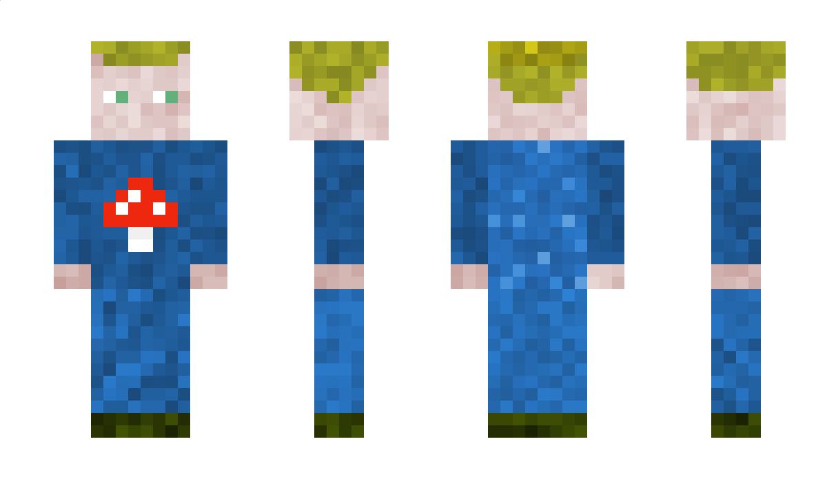 Joni0209 Minecraft Skin