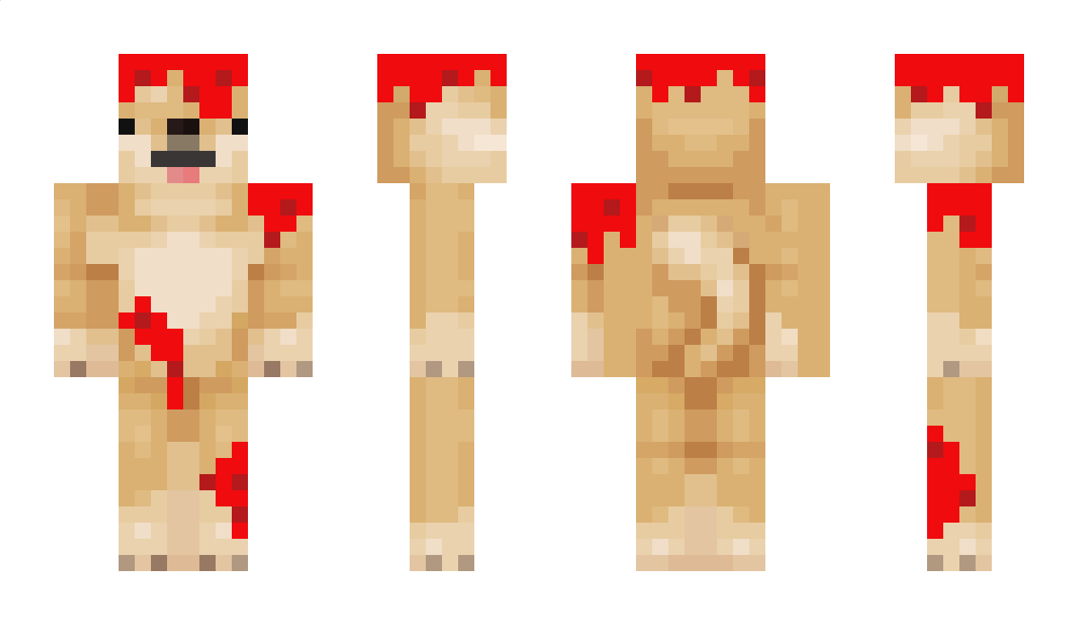 DogeDominates Minecraft Skin