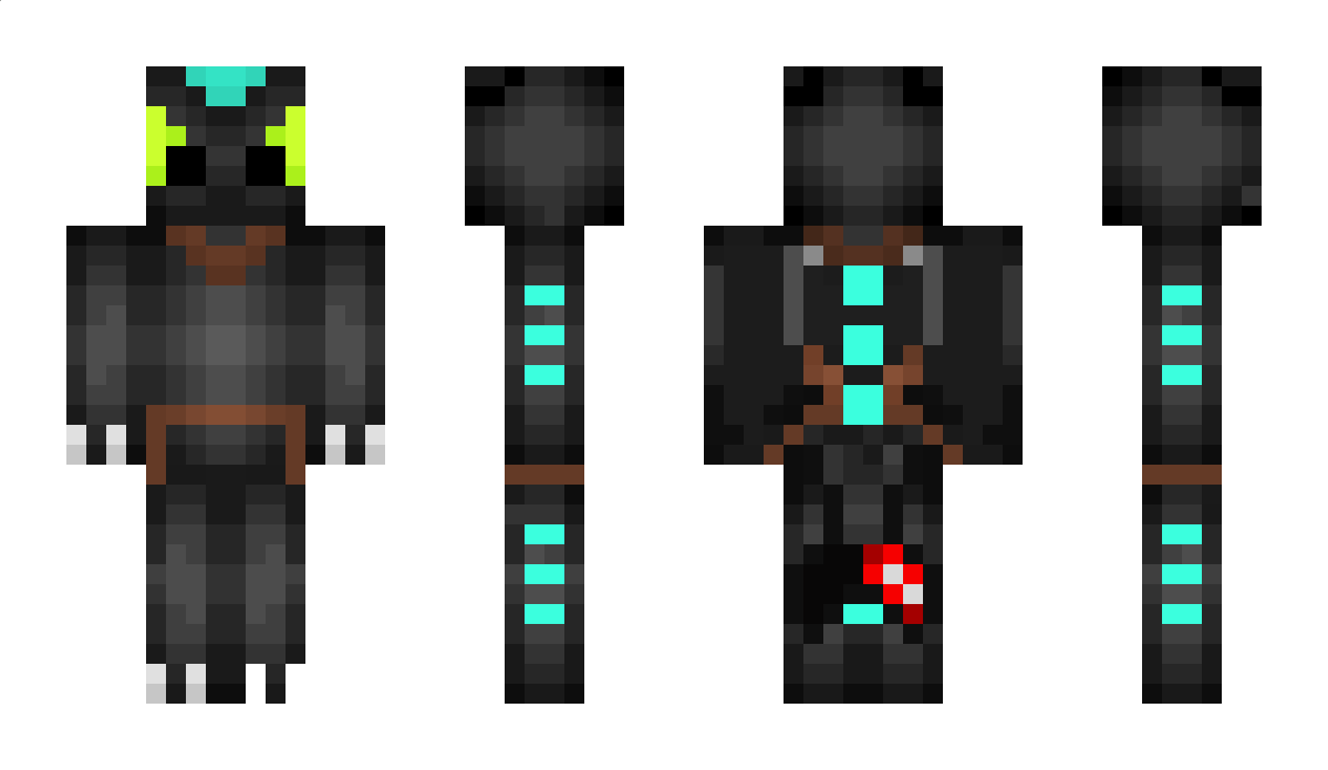 Twenty2D Minecraft Skin