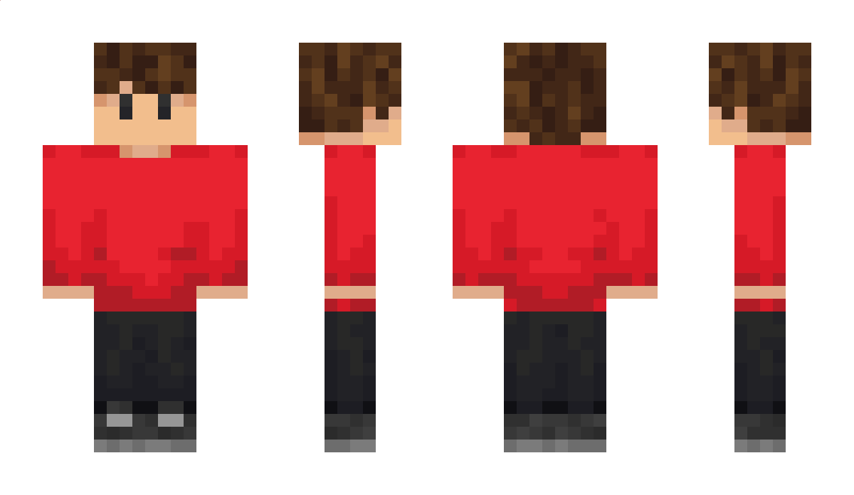 ari2 Minecraft Skin