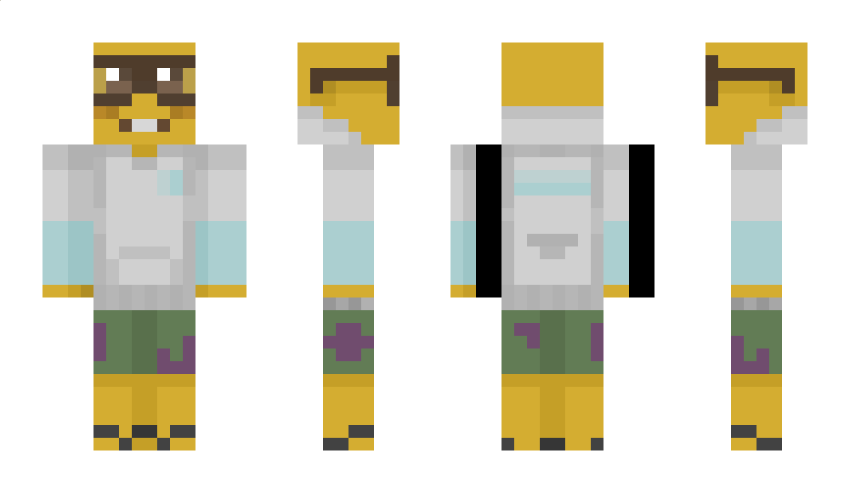 pladin Minecraft Skin