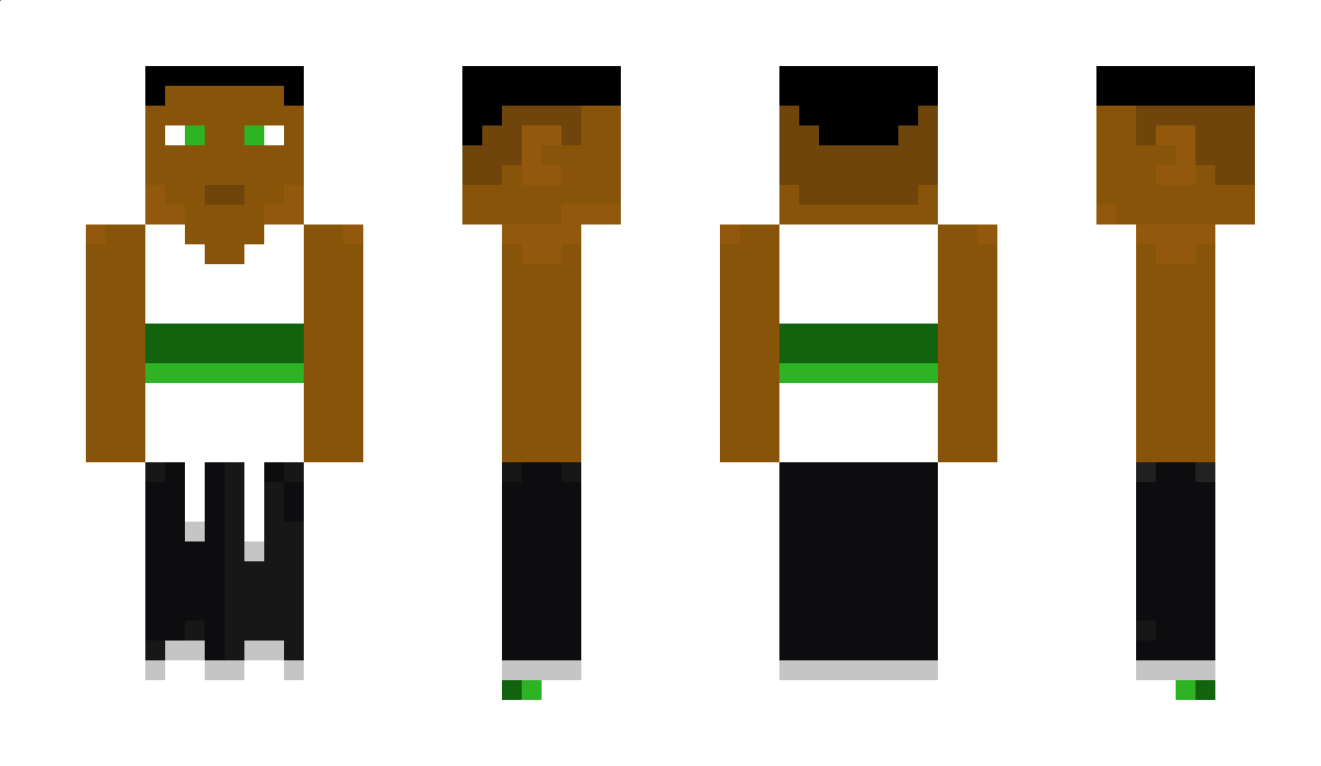 RoamTheStars Minecraft Skin