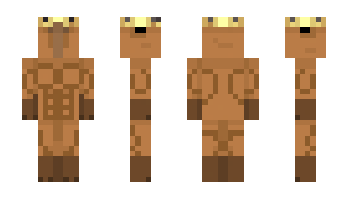 zShow999 Minecraft Skin