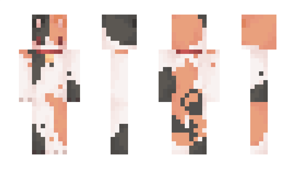 dera0406 Minecraft Skin