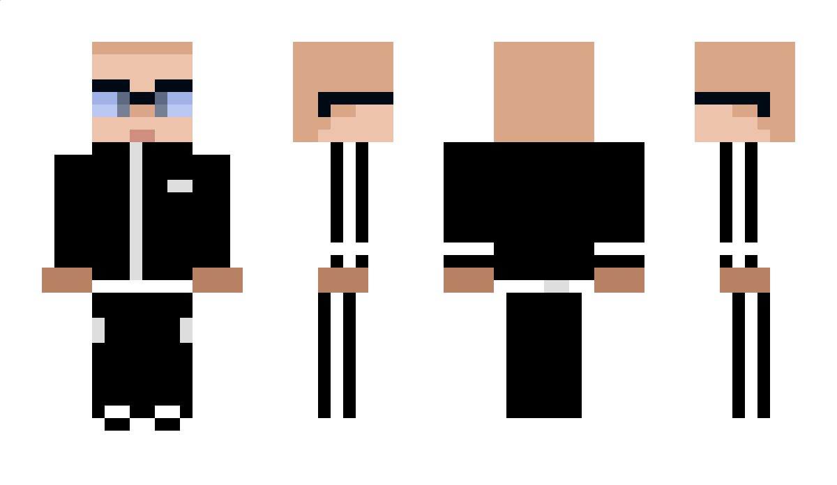PottCrafterYT Minecraft Skin