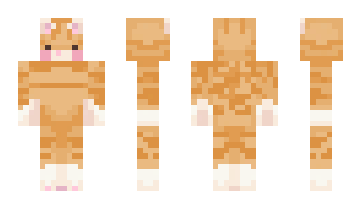 Meerix_Cat Minecraft Skin