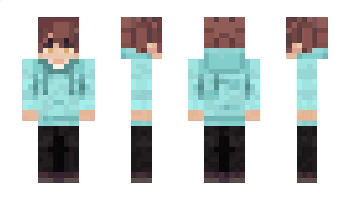 Integr Minecraft Skin