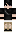 Duesterritter Minecraft Skin