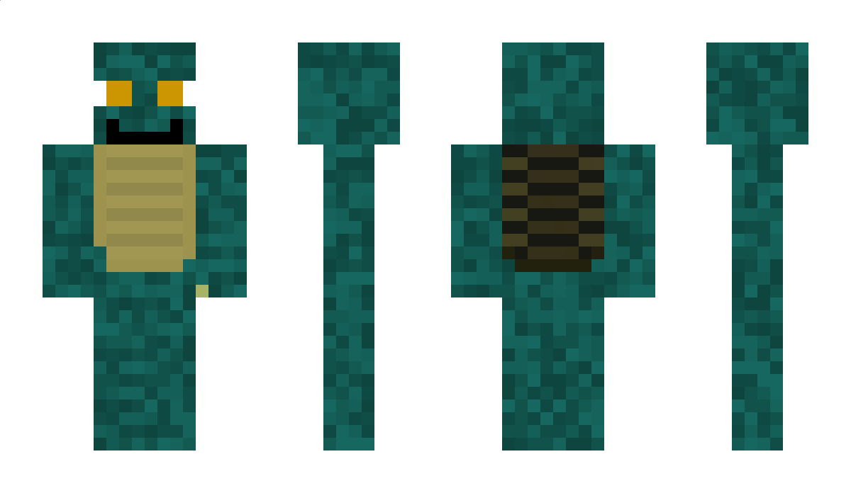 turtleguy123456 Minecraft Skin