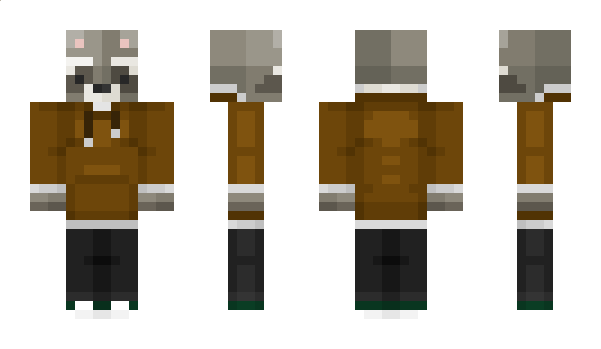 DaCrazyRaccoon Minecraft Skin