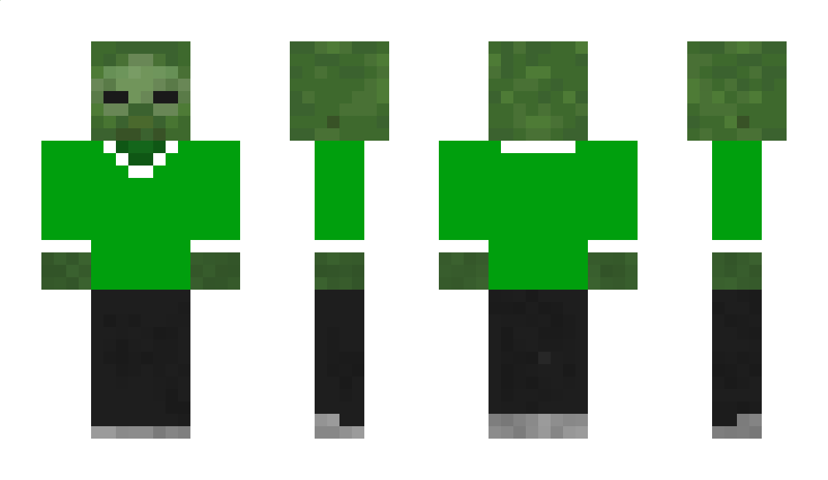 ghytrujk675 Minecraft Skin