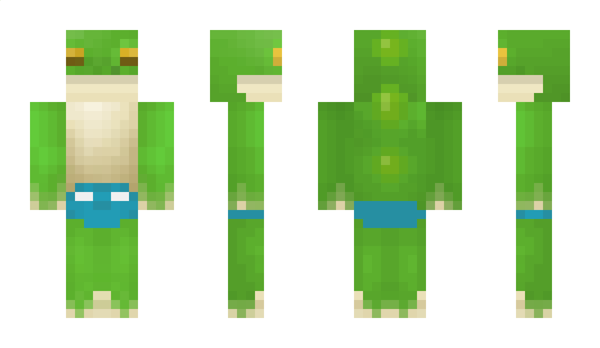 Sicnarf Minecraft Skin