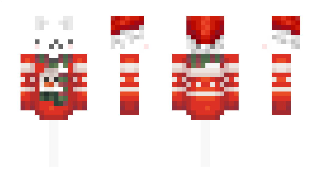 Robachee Minecraft Skin