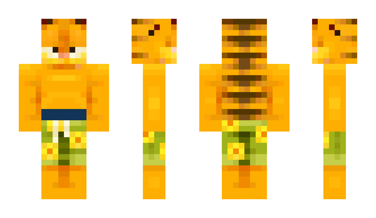 DiegoNr33 Minecraft Skin