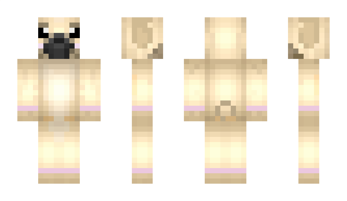 adajagus Minecraft Skin