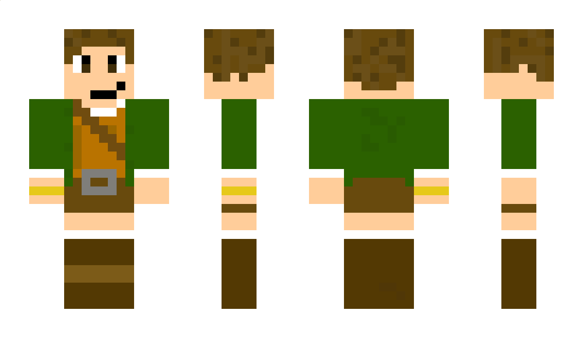 baginsbilbo5 Minecraft Skin