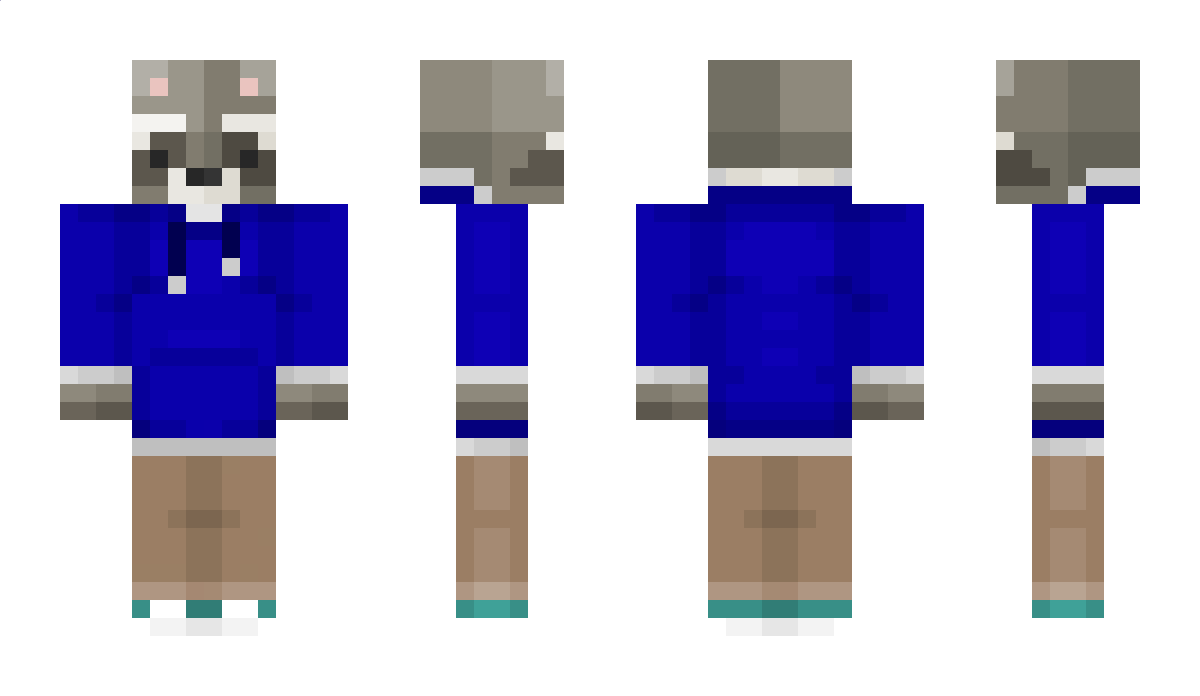 DaCrazyRaccooon Minecraft Skin