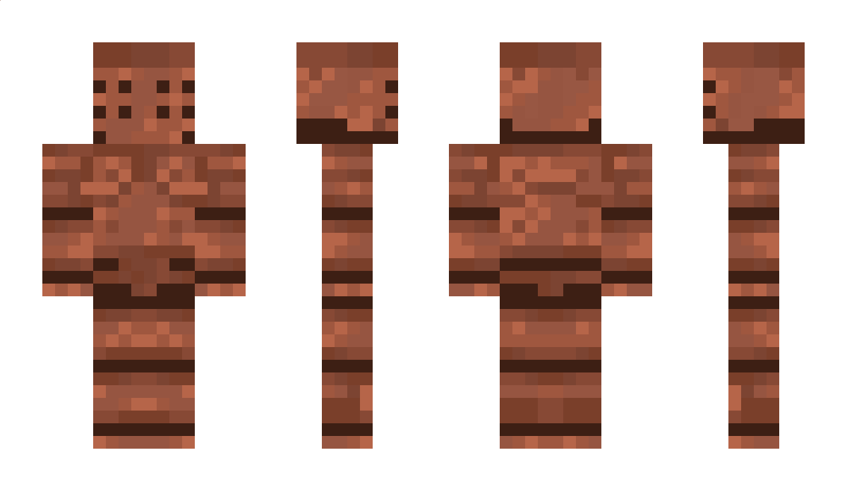 N833 Minecraft Skin