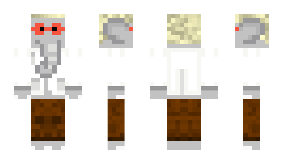 sonter Minecraft Skin