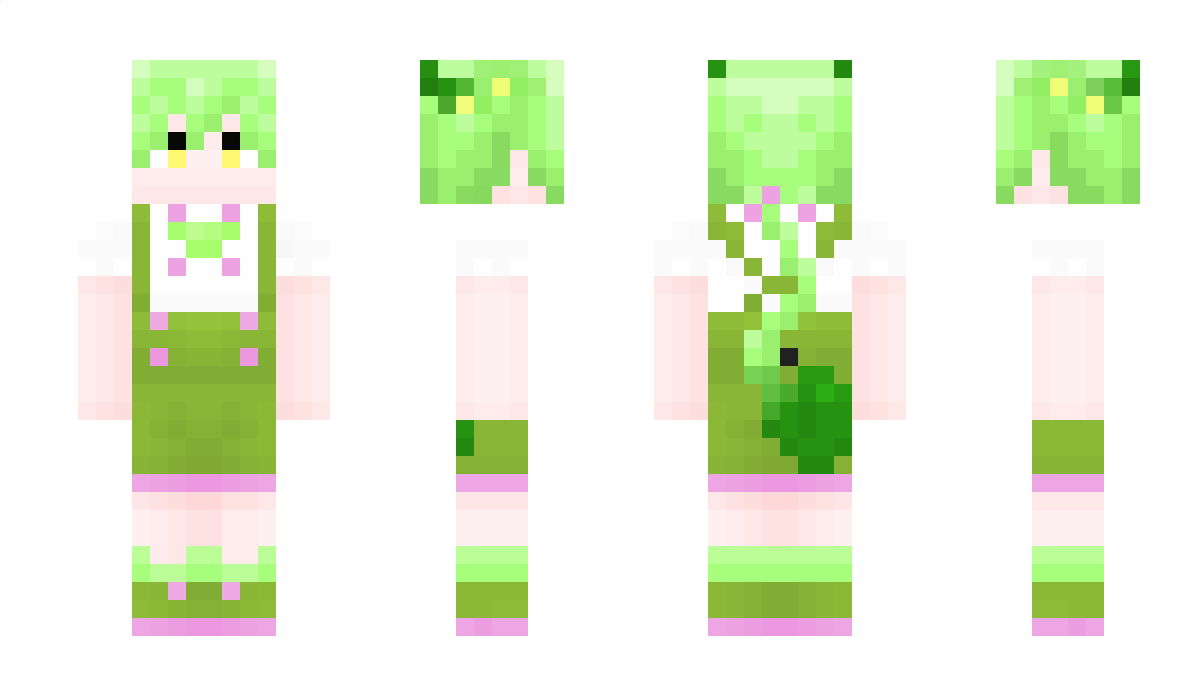 spring26 Minecraft Skin