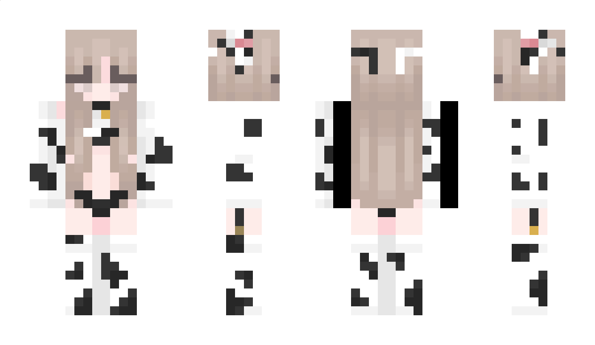 Envizzy Minecraft Skin