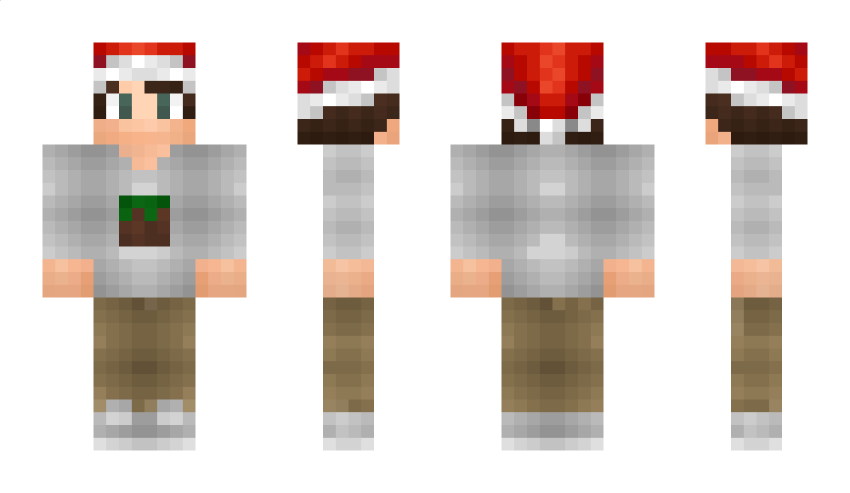 DenLuiaard Minecraft Skin