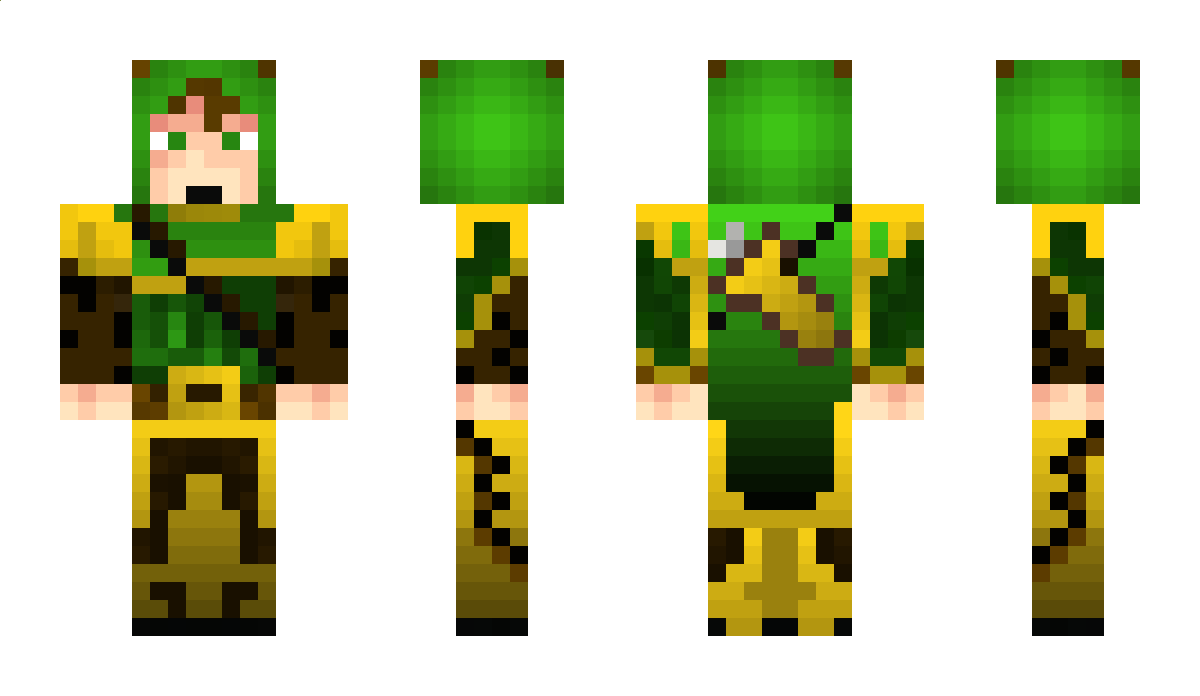 Medeval Minecraft Skin